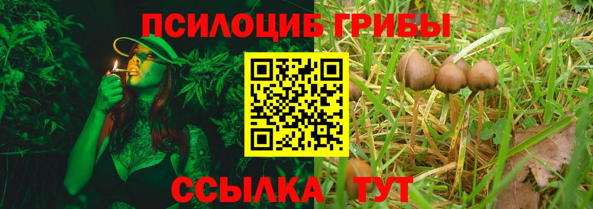 Симферополь  Галлюциногенные грибы Psilocybine cubensis  Вход с VPN 